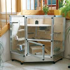 pin on guinea piggies