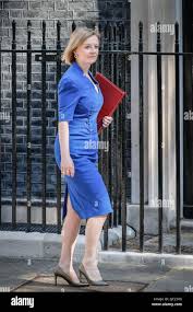 Liz truss in downing street hi-res stock photography and images - Alamy