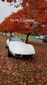 Image result for Oyster White 1979 GM