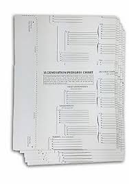 Treeseek 15 Generation Pedigree Chart 10 Pack Blank