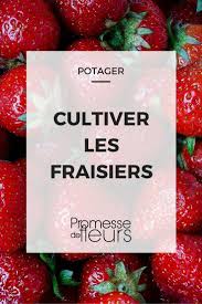 Epingle Sur Verger Fruitiers Et Petits Fruits Rouges