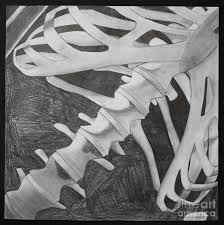 Exploring the human skeleton focusing on the rib cage. 10 Ribcage Ideas Art Rib Cage Rib Cage Drawing