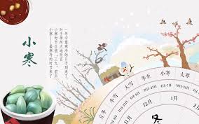 24节气手作 小寒 不织布梅花 小寒大寒 冷成冰团 哔哩哔哩 つロ 干杯 bilibili diy and crafts crafts diy