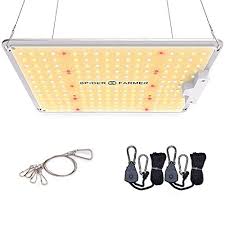 Settle in, grab a cup of coffee and a yahsence also makes growing cannabis a breeze, even for beginners with no harvests under their belt. Best Led Grow Lights Of 2021 Reviews By Experts In Growing