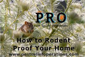 Even if your home is spotless, such pests can still find their way in. 5 Ways To Keep Rodents Out Of Your House Rats Mice Pest Relief Operations