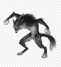 Zeichnung Wolf Werwolf Comics Rentier Werwolf Toten Png Herunterladen 829 965 Kostenlos Transparent Schwarz Und Weiss Png Herunterladen
