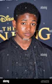 Issac Ryan Brown at the world premiere of the movie 'The Lion King' at the  Dolby Theater. Los Angeles, 09.07.2019