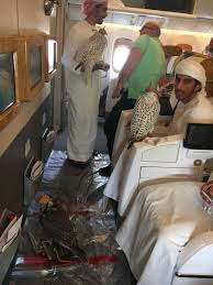 We did not find results for: Omar R Quraishi On Twitter Emirates Doesn T Allow Animals In Plane Cabins Except Falcons On Flights Between Dubai And Pakistan Incredible Do Pakistani Nationals Get Such Concessions From Uae Authorities
