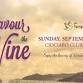 Savour the Wine Tour