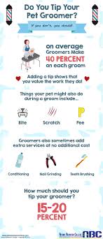 How Much Do You Tip Dog Groomers