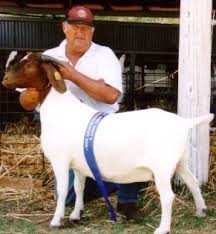 Mugambi Boer Goats-Our Breeding Stock