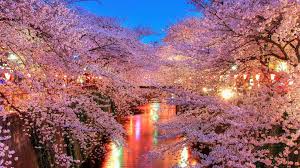 Hd wallpapers and background images Japan Wallpapers Free Download Pixelstalk Net