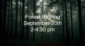 Forest Bathing — Amethyst Retreat Center