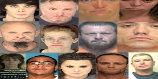 Hamilton: Operation Ice Storm leads to 13 arrests