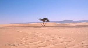 Doris Niklaus posted