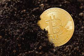 Scouting a way to save, invest, and earn has been synonyms with putting money in bitcoin and cryptocurrencies. Why A Major Australian Investment Firm Picked Up Bitcoin Instead Of Gold