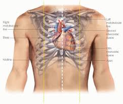 Image result for Point of Maximum Impulse