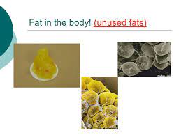 The article mentions more values, ranging from 18% to 40%. Fats The High Powered Nutrient 1 Gram Of Fat Contains 9 Calories Of Energy Per Gram That S Over Twice As Much As Carbohydrates And Proteins Ppt Download