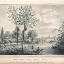 Pdf A Garden As A Niche Botany And Imperial Politics In The Early Nineteenth Century Dutch Empire