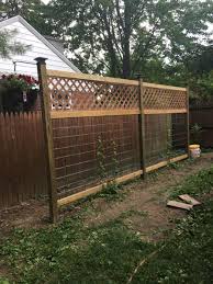They therefore require a solid support: Josh Gannon On Twitter Saw Your Father In Indianapolis 2 25 2017 And Was Just Talking About The Show Last Night This Is A Hardy Kiwi Trellis He Inspired Me To Build For My