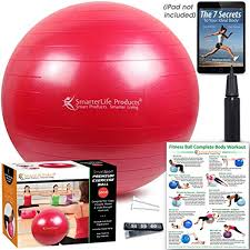 Pin On Exercise Balls Accessories