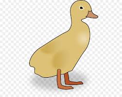 Mendapat rating 5 dari 5, untuk 36 penilaian. Bebek Mallard Amerika Bebek Hitam Gambar Png