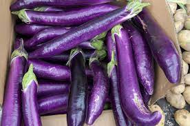 We did not find results for: 10 Types Of Eggplant And What To Do With Them Myrecipes