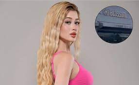 Caso Valeria Márquez: Gobernador de Jalisco asegura que cámaras del C5  grabaron a los agresores; hay 3 líneas de investigación | El Universal