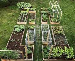 .tanaman sayuran dan kebun sayur di tepi rumah mula menjadi viral pada penghujung tahunnya. 10 Rekaan Kebun Sayur Sayuran Ideas Kebun Sayur Halaman Belakang Menanam Sayuran
