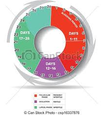 Menstrual Calendar