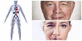 On a l'Age de ses Artères