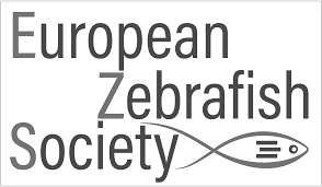 Anna eremin (cátia sobral) and jani zhao (susana wang)catia y susana. Https Www Zebrafish2020 Org Files Zebrafish2020 Program And Abstract Book Pdf