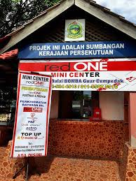 Image result for Mini Chempedak