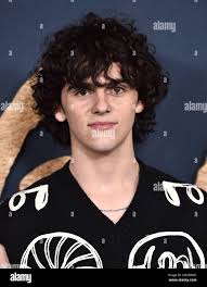 Dylan blue hi-res stock photography and images