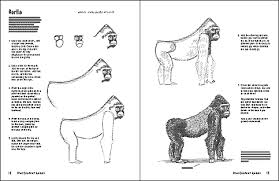 Drawing the head and figure: How To Draw Animals That Live In The Rainforest