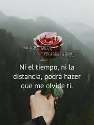 Mi Saif Isaac Frases Bonitas Imagenes De Jesus Frases Frases De Palabras