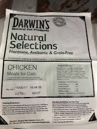 Back flattened, tail flicking, followed by the. Darwin Pet Cat Food 2021 At Cats Www Addlab Aalto Fi