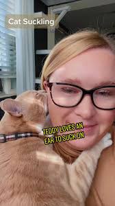 Katze Nuckelt An Ohr