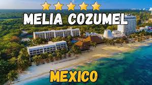 Image result for Melia