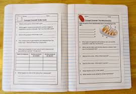 Biology Interactive Notebooks Biology Interactive Notebook Interactive Science Notebook Science Notebooks