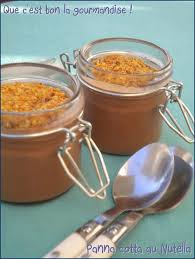 Panna Cotta Au Nutella Le Blog De Melissa