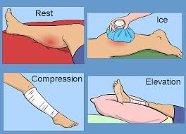 Hamstring injury treatment will vary depending on the severity of the injury to the hamstring muscle groups. Best Personal Trainer For Hamstring Recovery And Treatment Jazz Alessi