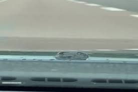 Eigentlich hätte sie mir ihr ganzes leben lang böse sein müssen, hatte ich ihr doch in einem unbedachten moment wesentliche teile ihres innenlebens mittels einer radikaloperation für immer entfernt. 0rvu 8qti1vusm