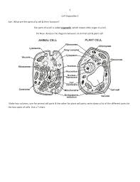 Eukaryotic cells have many specific functions, so it can be said that a cell is like a factory. Cell Organelles 2