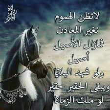 مرحبا بك في منتدي شمس الاصيل نرجو أن تقضي أجمل الأوقات معنا , ستجد عندنا كل ما الأعضاء المتواجدون في المنتدى: Ø¹Ù…Ø± Ø§Ù„Ø²Ù…Ù† Ù…Ø§ ÙŠØºÙŠØ± Ø£ØµÙŠÙ„ H G Movie Posters Poster Quotations