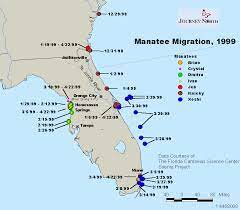 Manatee county, florida manatee county is a county located in the state of florida. Journey North Manatees
