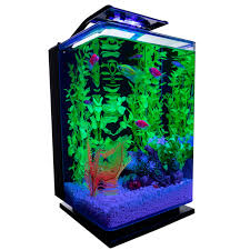 Maybe you would like to learn more about one of these? Glofish Hinged Cycle Light And Hidden Filtration Aquarium Kit 5 Gallons 11 L X 11 W X 16 25 H Petco