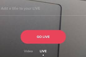How To Do Tik Tok Live Video How Tiktok 2020