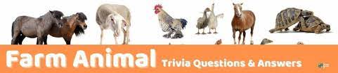 If you want to raise goats on your farm, the first thing you need to do is find good goats to buy. 99 Animal Trivia Questions And Answers Group Games 101