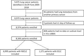 Chest infections that keep coming back. Hyponatremia In Lung Cancer Incidence And Prognostic Value In A Danish Population Based Cohort Study Lung Cancer